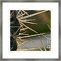 Cross Swords Framed Print