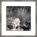 Crossing The Lin Framed Print