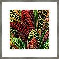 Croton Leafscape Framed Print