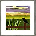 Crow In The Corn Field Framed Print