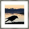 Crow Silhouette Framed Print