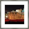 Crowded Poppies Framed Print