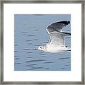 Cruising Altitude Framed Print