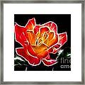 Crystal Rose Framed Print