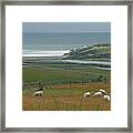 Cuckmere Haven View - Sussex - England Framed Print