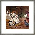 Curious Friends Framed Print