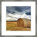 Cut Field Framed Print