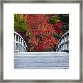 Cypress Bridge Framed Print