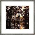 Cypress Sunrise Framed Print