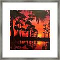 Cypress Swamp At Sunset Framed Print