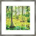 Cypress Tree And Water Lilies Framed Print