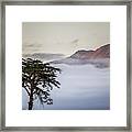 Cypress Tree In Foreground With Clouds Framed Print