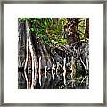 Cypress Trees - Nature's Relics Framed Print