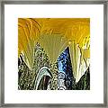 Daffodil Unleashed Framed Print
