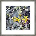 Daffodils Of Hope Framed Print