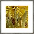 Dahlia Dew Yellow Framed Print