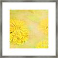 Dahlia Dream Framed Print