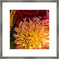 Dahlias And Sunflowers Framed Print