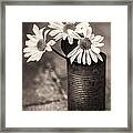Daisies Can Framed Print