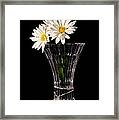 Daisies In Vase Framed Print