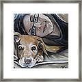 Daisy And Melissa Framed Print