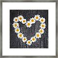 Daisy Heart On Dark Wood Framed Print