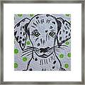 Dalmatian Puppy Framed Print