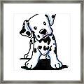 Dalmatian Puppy Framed Print