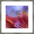 Dance In The Light... Framed Print