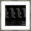 Dancing Fish At Night 3 Framed Print