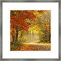 Dancing Leaves Framed Print