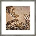 Dancing Trees Framed Print