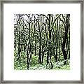 Dancing Trees Framed Print