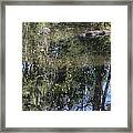 Dangerous Swimming Framed Print