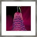 Dare To Be Different Series Three Framed Print