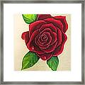 Dark Red Rose Framed Print Dark Red Rose Framed Print