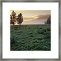 Dawn Light And South Isl New Zealand Framed Print