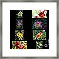 Day Lily Collage Framed Print