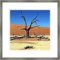 Dead Vlei Tree - Namibia Framed Print