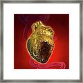Decaying Heart Framed Print