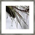 December's Raindrops Framed Print