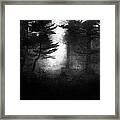 Deep In The Dark Woods Framed Print