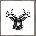 Deer Head Framed Print