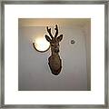 Deer Head Framed Print
