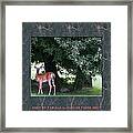 Deer Solo With Trees Framed Print