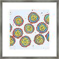 Dengue Virus Framed Print