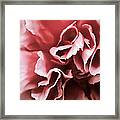 Depth Framed Print