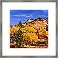 Desert Autumn Framed Print