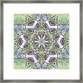 Desert Flower Mandala Framed Print