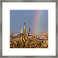 Desert Rainbow Of Grace Framed Print